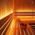 Сауна [14-17 Вт/м]