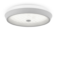 Потолочный светильник Freya FR10012CL-L24W