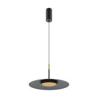 Подвесной светильник Maytoni MOD041PL-L15B3K1