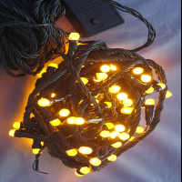 "String light"  , Светодиодная гирлянда SL-LED-100 chasing 10м белый