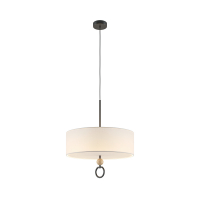 Подвесной светильник Maytoni MOD437PL-05B