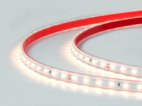 Лента светодиодная DSG 2835 DW 60L-V24-IP67, 2700 K, 60LED/m, 6W/m, LUX (20м/кат)