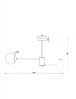Потолочный светильник Freya FR5325CL-03BS