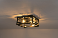 Светильник потолочный серии "Брест", G1348 черный