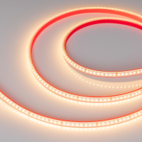 Лента герметичная RTW-PS-A160-10mm 24V Warm2700 (12 W/m, IP67, 2835, 5m) (Arlight, 12 Вт/м, IP67)