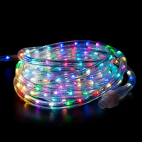 Светодиодный дюралайт (LED rope light), 2PRLL-100-2, 100 м, мультиколор