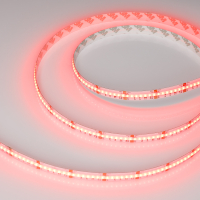 Лента CSP-X840-12mm 24V RGBW-Day (17.2 W/m, IP20, 5m)  (Arlight, 5 лет)