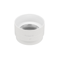 Насадка с фиксированным углом LGD-ARTIFACT-LENS-R65 (WH, 30 deg) (Arlight, Металл)
