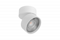 R-SF-WH-WW Cветильник RINK, накладной 3000К Теплый белый, 10Вт, белый