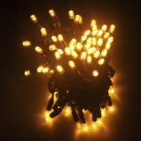 LED String light outdoor , SL-LED-100 IP44 steady 10м белый