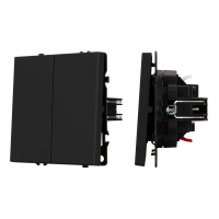 Механизм выключателя двухклавишный непроходной SWT-NOBE-MK02-SFPL-BK (230V, 10A) (Arlight, Черный оникс)