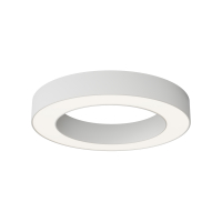 Потолочный светильник Technical C093CL-36W4K-W