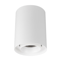 Светильник SP-FOCUS-R110-18W Day4000 (WH, 24 deg, 230V) (Arlight, IP54 Металл, 5 лет)