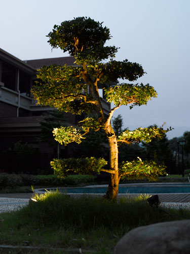 Грунтовый светильник W77169 Gr