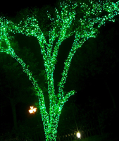 Гирлянда  "Спайдер", для улицы, постоянного свечения, 5*20м  1000 Led белого цвета на черном шнуре, IP44