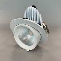 Светильник выдвижной круглый DW2268   LED COB 30W 2700K. Цвет: белый