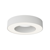 Потолочный светильник Technical C093CL-24W4K-W