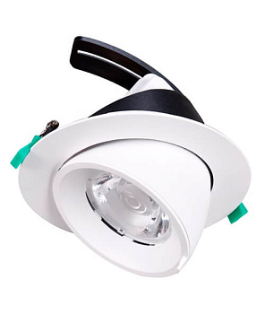 Светильник выдвижной круглый DW2267   LED COB 20W 2700K. Цвет: белый