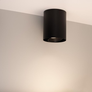 Светильник SP-FOCUS-R132-24W Day4000 (BK, 24 deg, 230V) (Arlight, IP54 Металл, 5 лет)