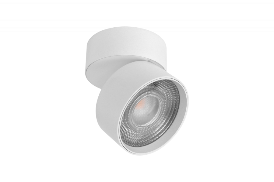 R-SF-WH-WW Cветильник RINK, накладной 3000К Теплый белый, 10Вт, белый