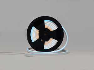 Неоновая  лента SMD5050, 60led/m, 10Вт,м, 24В, SPI RGB (10*18мм), 5м/кат
