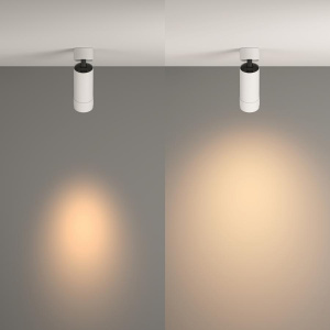 Потолочный светильник Technical C055CL-L12W3K-Z-W