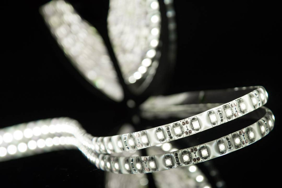 Лента светодиодная SWG SWG3120, 12В, IP65, холодный белый