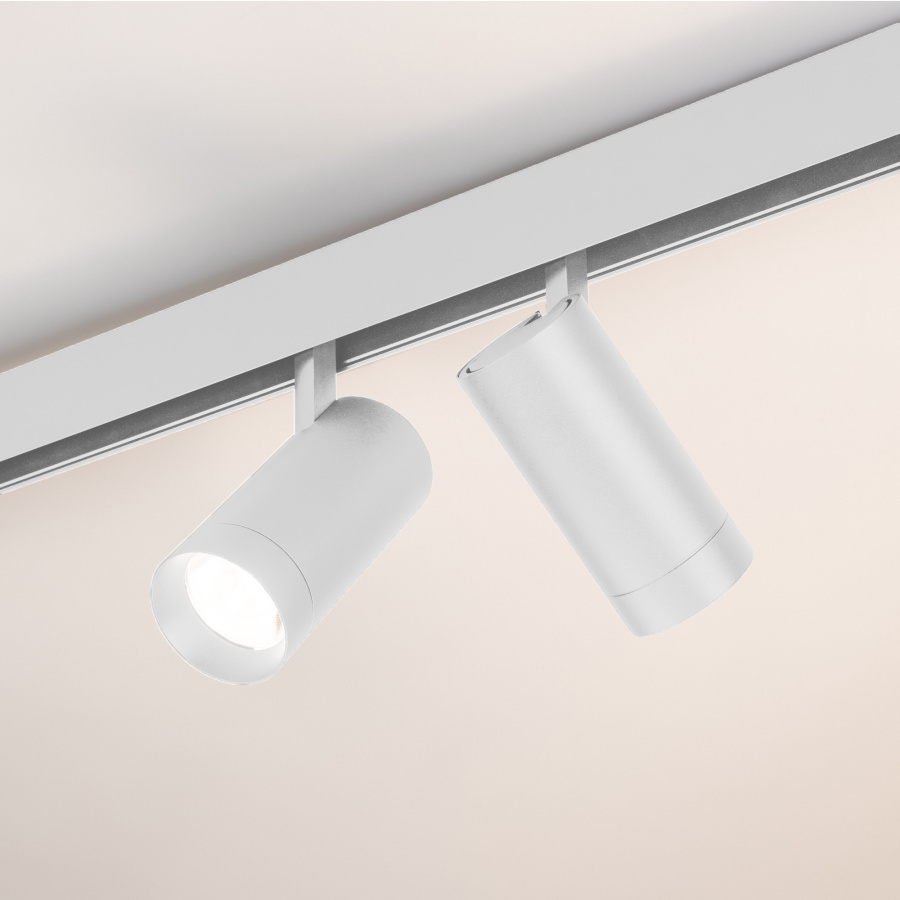 Светильник MAG-ORIENT-SPOT-R65-20W Day4000 (WH, 24 deg, 48V) (Arlight, IP20 Металл, 5 лет)