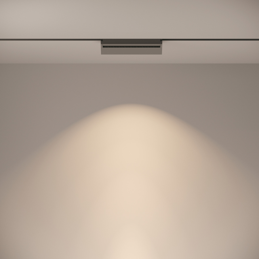 Трековый светильник Technical TR013-2-20W4K-B