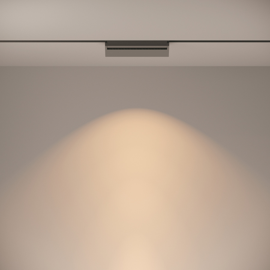 Трековый светильник Technical TR013-2-20W3K-B