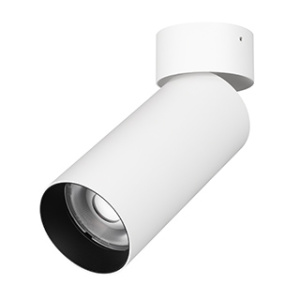 Светильник SP-GABI-SURFACE-FLAP-R60-12W Warm3000 (WH, 60 deg, 230V) (Arlight, IP40 Металл, 5 лет)