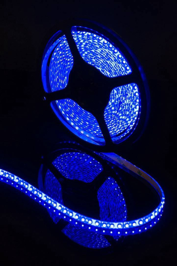 Лента светодиодная SWG SWG3120, IP65, синий