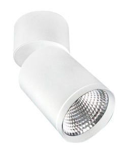 Настенный/потолочный поворотный светильник, WC1330 30W LED