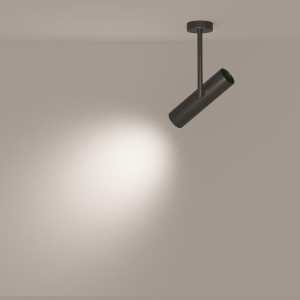 Потолочный светильник Technical C020CL-01B
