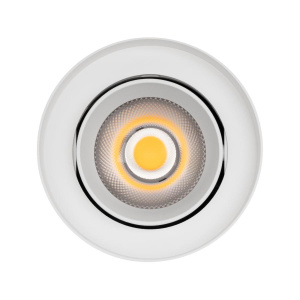 Светильник SP-FOCUS-R110-18W Day4000 (WH, 50 deg, 230V) (Arlight, IP54 Металл, 5 лет)