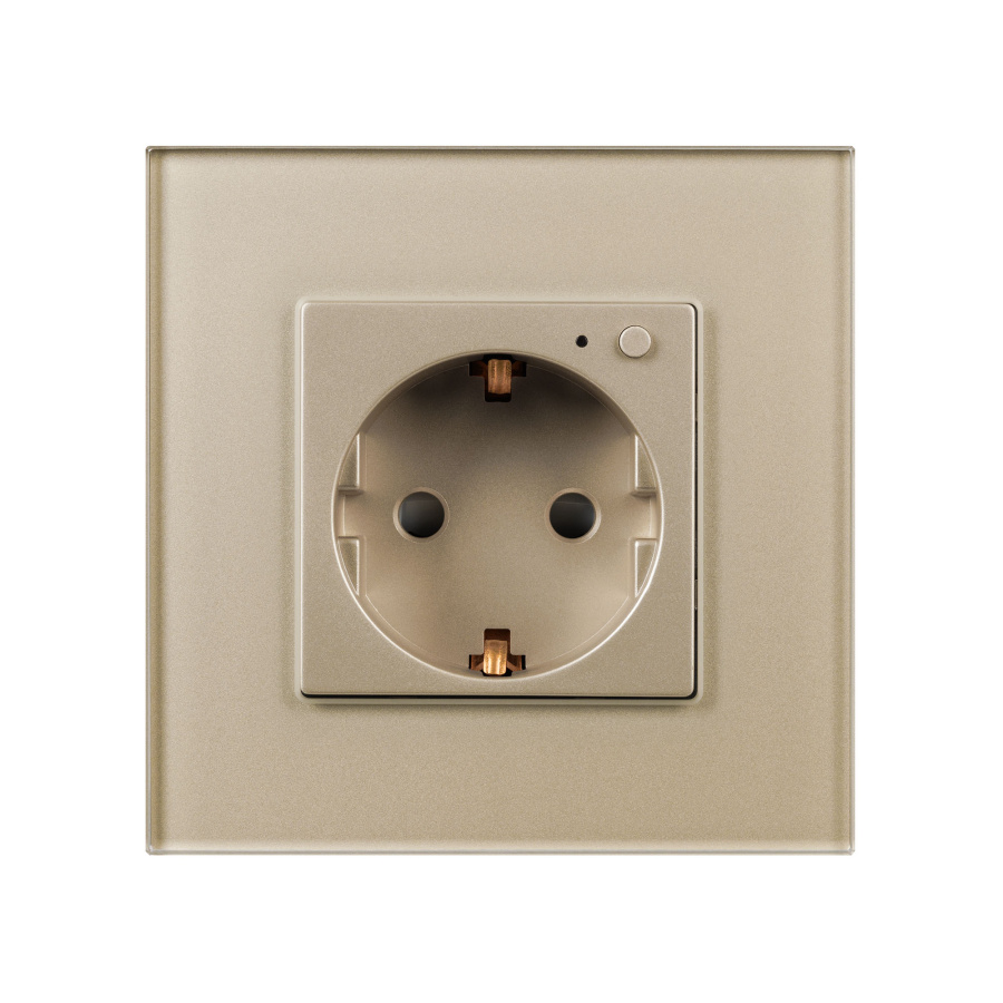 Розетка электрическая с Zigbee управлением SCT-OMALI-EUZB1-PL-GD (240V, 16A, Zigbee) (Arlight, -)