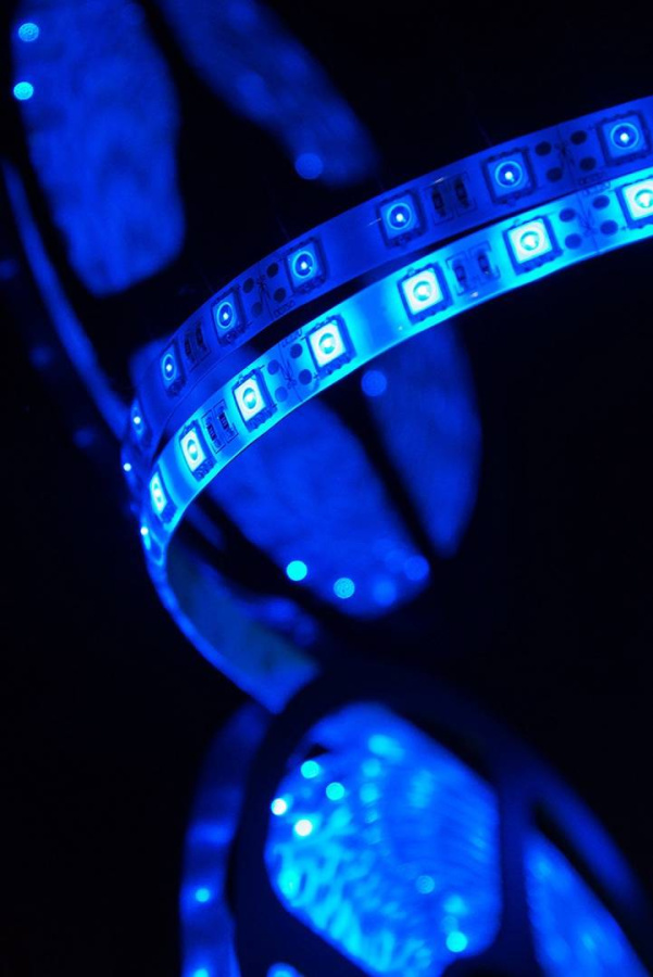 Лента светодиодная SWG SWG560, IP65, синий