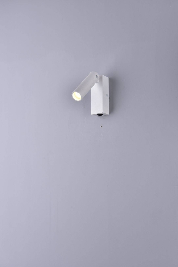 Светильник настенный GW RD