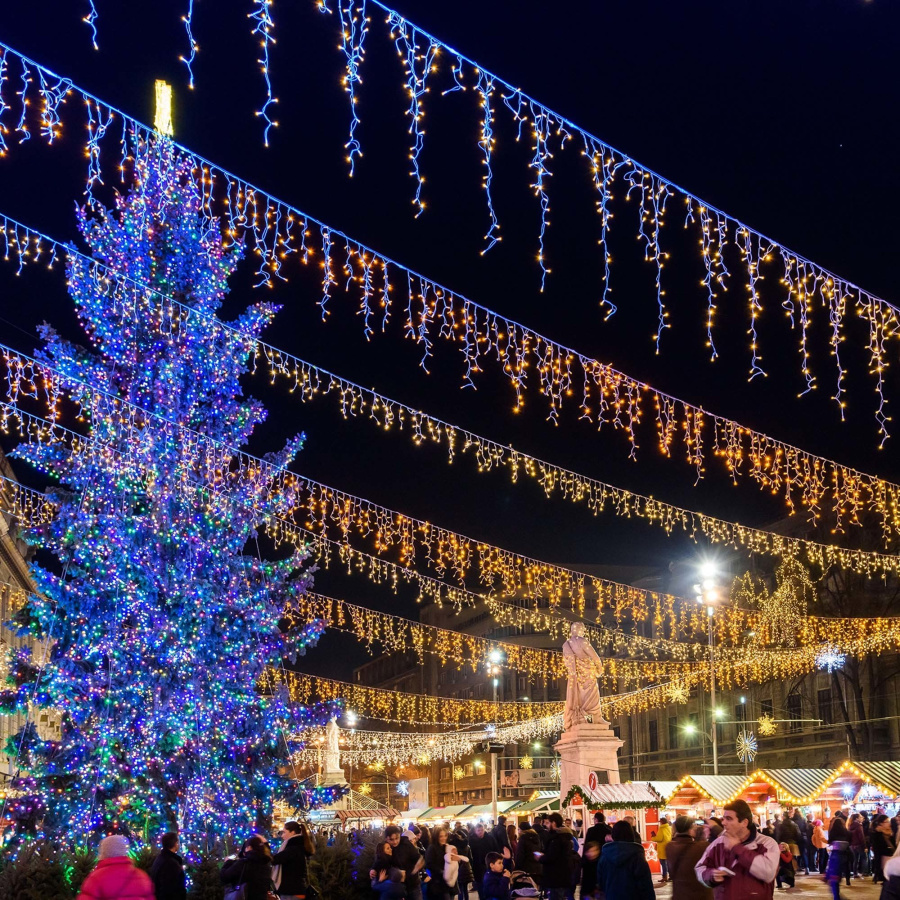 Светодиодная гирлянда ARD-EDGE-CLASSIC-2400x600-CLEAR-88LED-MILK-FLASH Warm (230V, 6W) (Ardecoled, IP65)