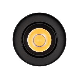 Светильник SP-FOCUS-R86-10W Day4000 (BK, 24 deg, 230V) (Arlight, IP54 Металл, 5 лет)
