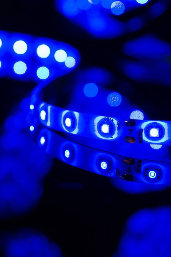 Лента светодиодная SWG SWG360, IP65, синий